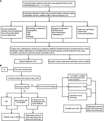 Type 2 autoimmune pancreatitis associated with ulcerative colitis